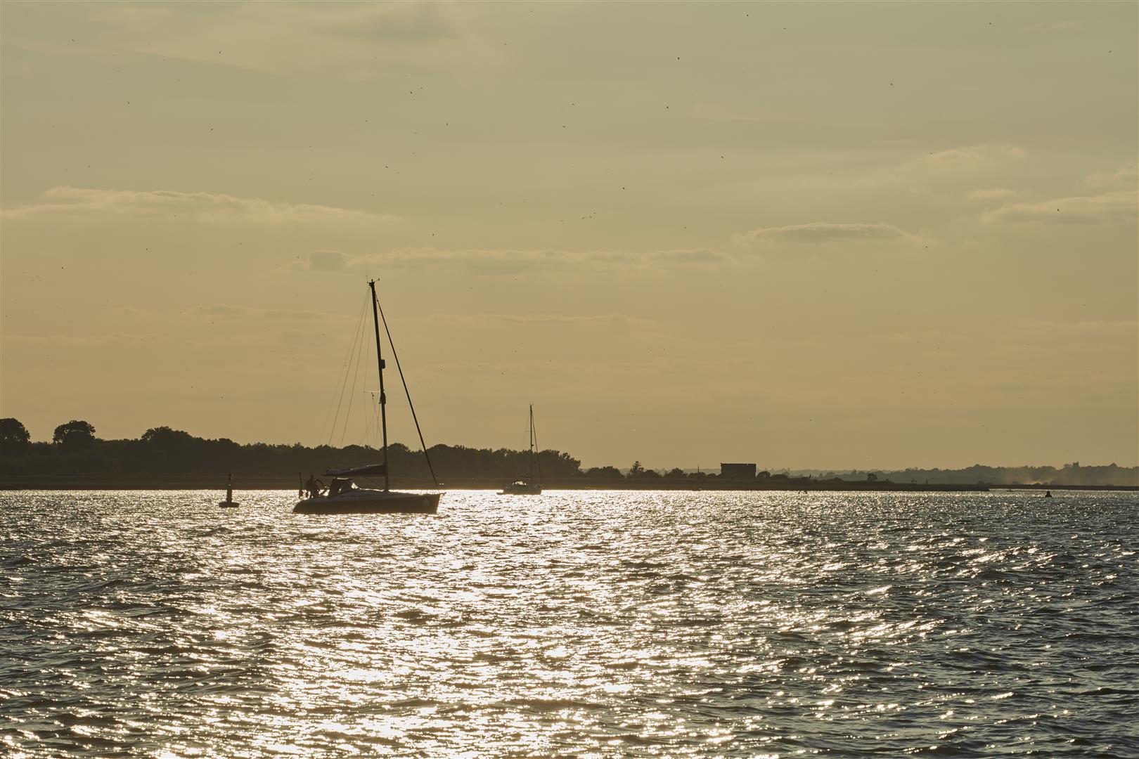 2191461-156.jpg
